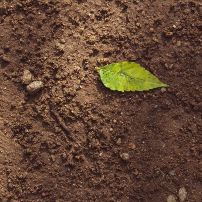 Adaptation des pratiques pour stocker le carbone dans le sol